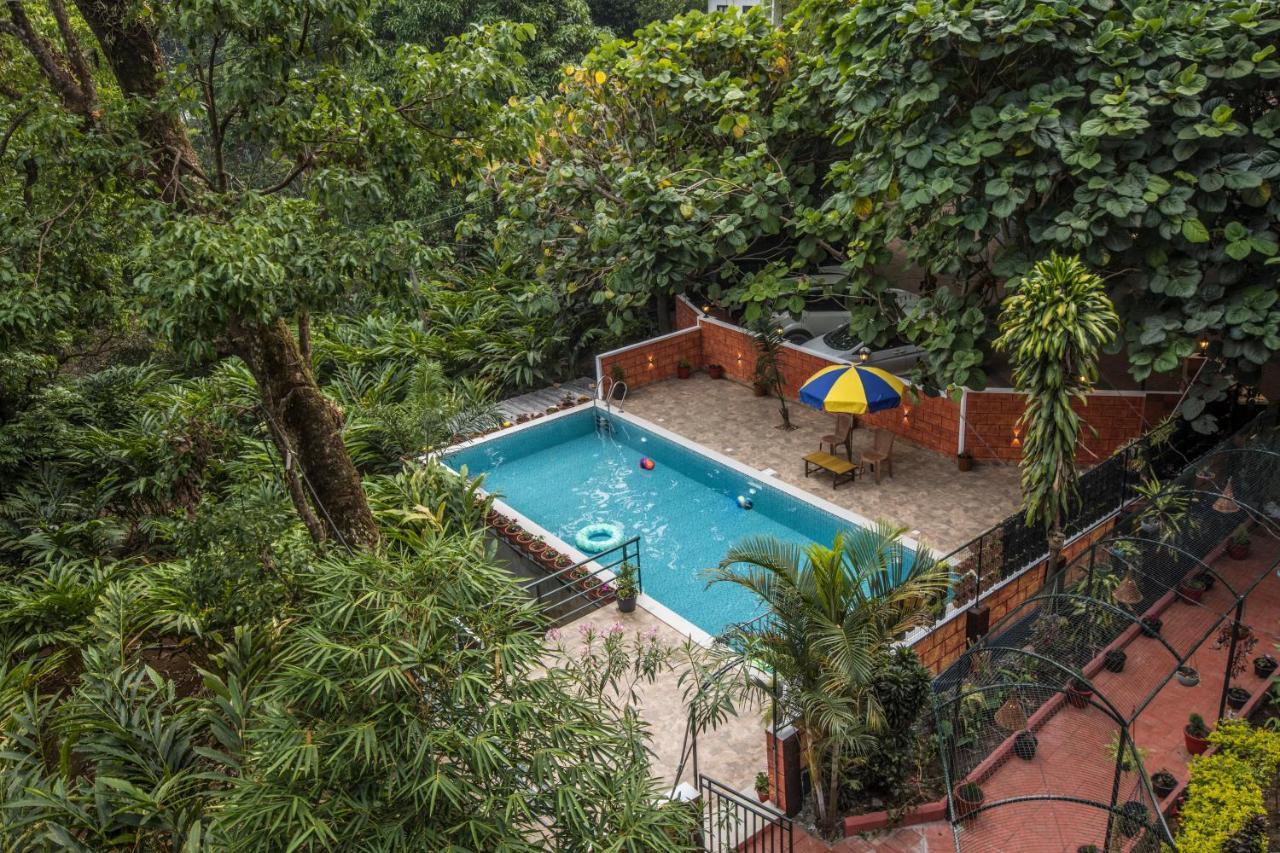 Spice Jungle Resort Munnar Exteriör bild