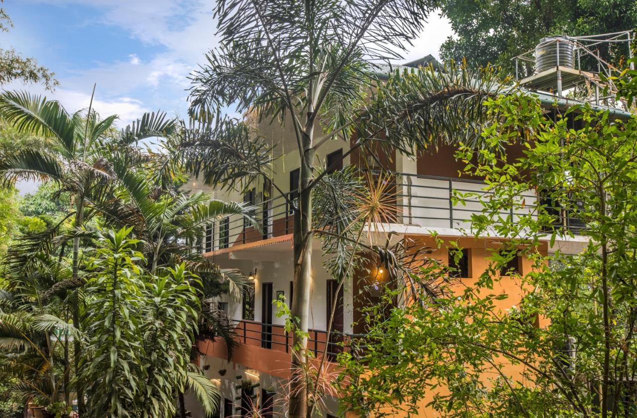 Spice Jungle Resort Munnar Exteriör bild